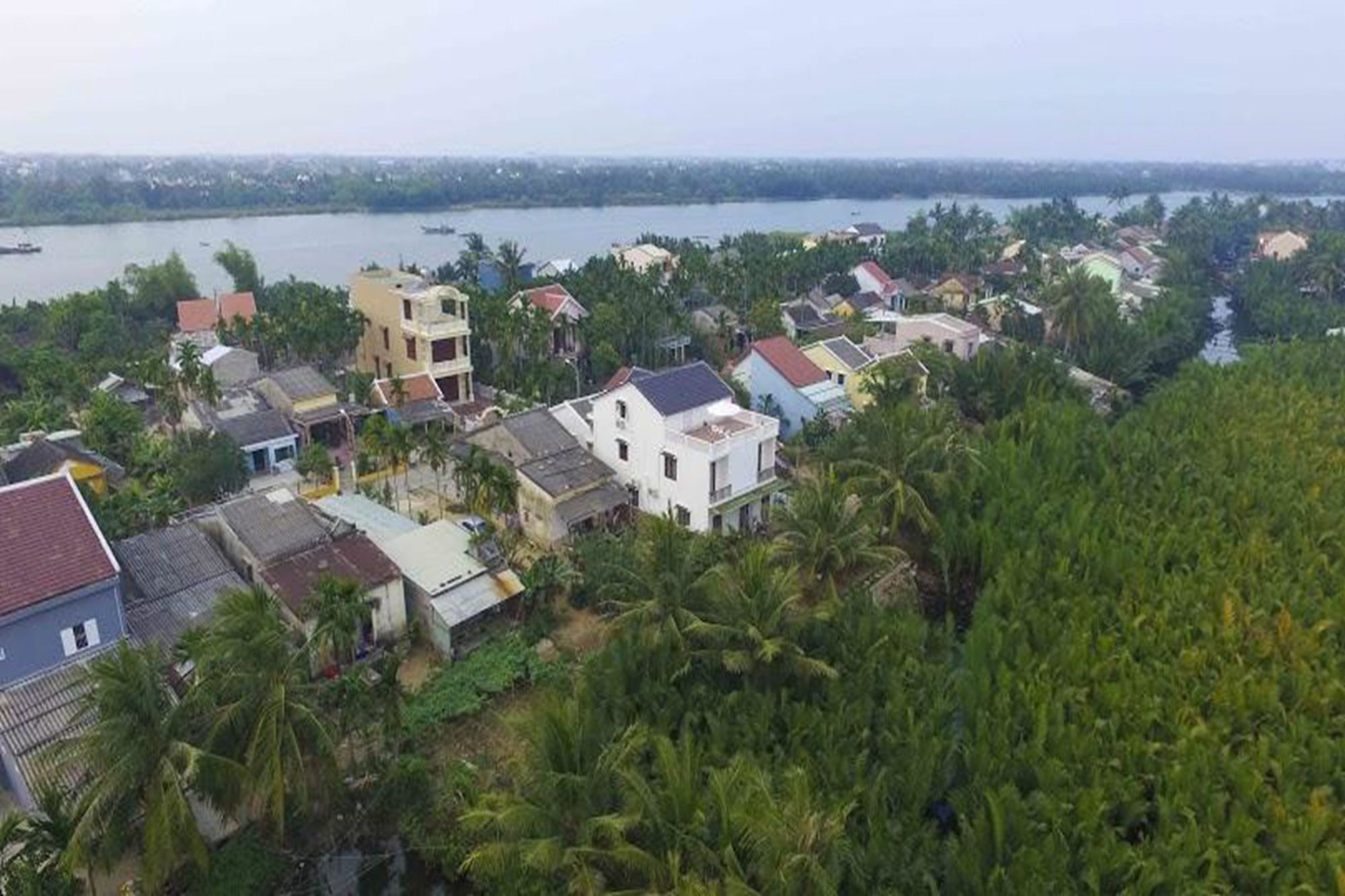 Coconut Garden Homestay هوي ان المظهر الخارجي الصورة